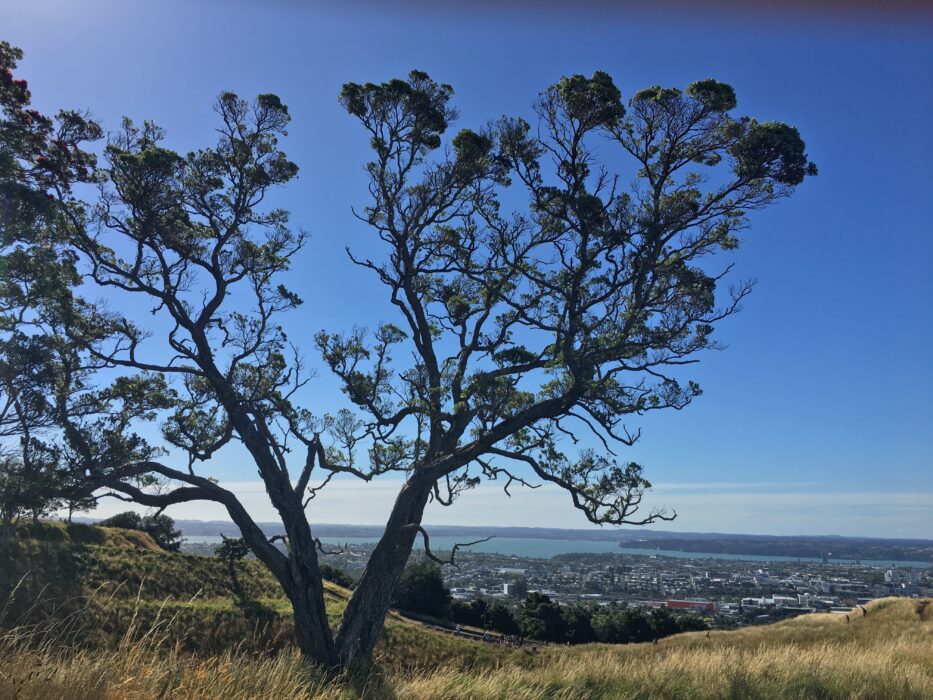 Mount eden in Auckland - views of Auckland