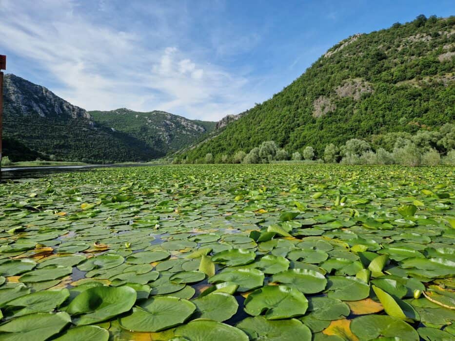 Lake Schkoder