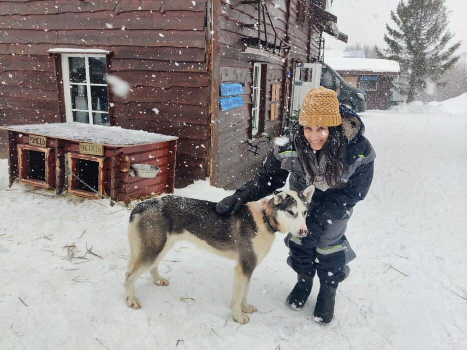 Tromso dog sledding